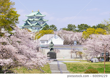 Nagoya castle and cherry blossoms 60094229
