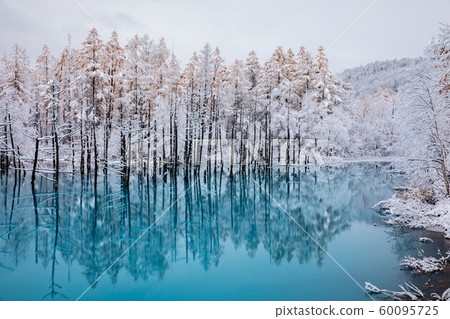 [美瑛]初雪的藍塘 60095725
