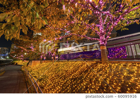 Meguro River illuminations shining in pink Meguro River illuminations shining in pink 60095916