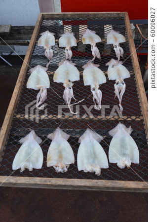 Shark dried in the fish market 60096027