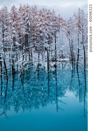 [美瑛]初雪的藍塘 60096323