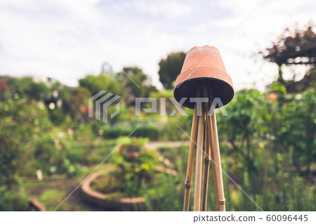 Gardening Gardening 60096445