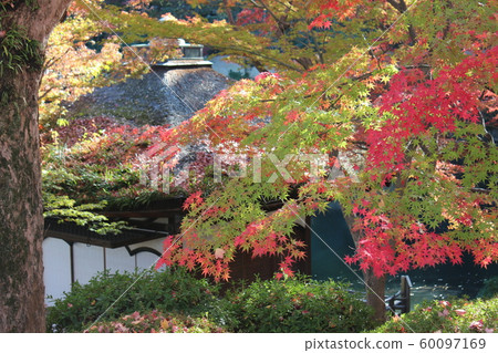 孔化河花園 孔化河花園 60097169