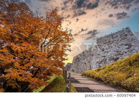 秋天的Kasumigajo公園和秋天的葉子日本松城堡（福島日本松） 60097404