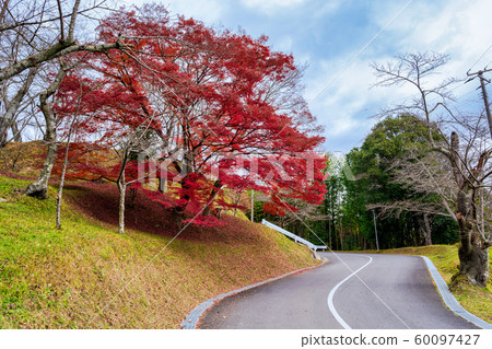 Kasumigajo Park in autumn and autumn leaves Nihonmatsu Castle (Fukushima Nihonmatsu) 60097427