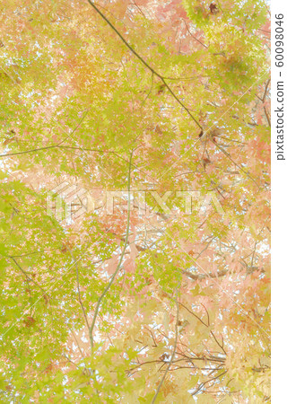 秋天的圖像 秋天的圖像 60098046