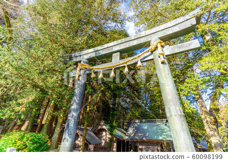 Suwa Taisha Shrine main shrine [Nagano Prefecture] 60098199