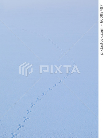 Snowy Footprint Snowy Footprint 60098487