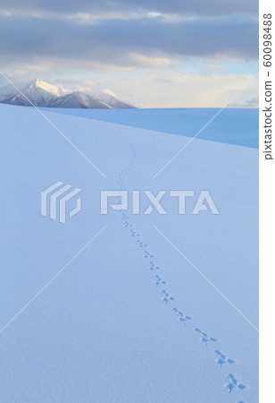 Snowy Footprint 60098488