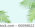 Tropical palm leaves on light blue background. 60098622