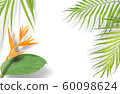 Tropical palm leaves on white background. Minimal 60098624
