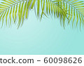 Tropical palm leaves on light blue background. 60098626