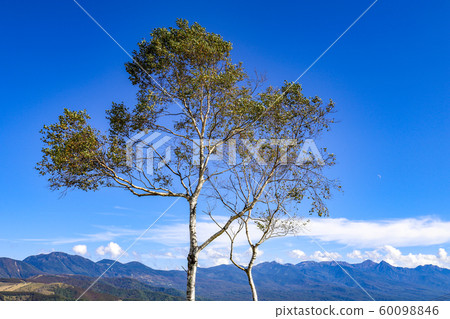 [Nagano] View from Kirigamine 60098846
