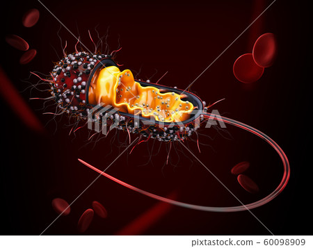 3d Rendering of Structure of a bacterial cell, clipping path included 3d Rendering of Structure of a bacterial cell, clipping path included 60098909