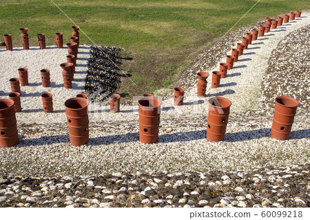 Kamezuka Kofun Park 60099218