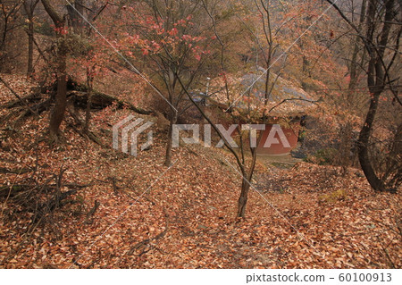 National Park, North Hansan, Jeongneung Valley National Park, North Hansan, Jeongneung Valley 60100913
