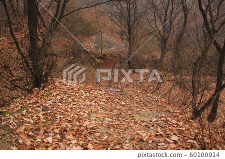 National Park, North Hansan, Jeongneung Valley National Park, North Hansan, Jeongneung Valley 60100914