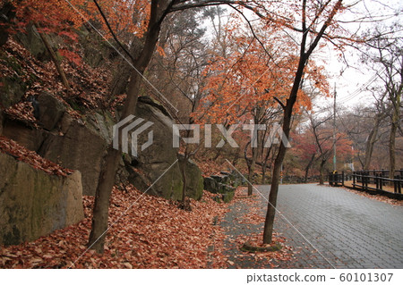 National Park, North Hansan, Jeongneung Valley National Park, North Hansan, Jeongneung Valley 60101307