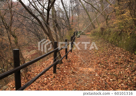 National Park, North Hansan, Jeongneung Valley National Park, North Hansan, Jeongneung Valley 60101316