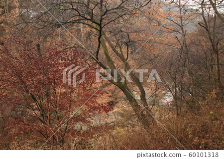 National Park, North Hansan, Jeongneung Valley National Park, North Hansan, Jeongneung Valley 60101318