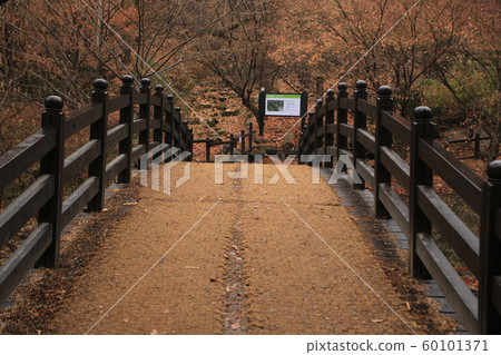 National Park, North Hansan, Jeongneung Valley National Park, North Hansan, Jeongneung Valley 60101371