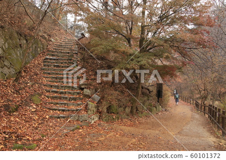 National Park, North Hansan, Jeongneung Valley National Park, North Hansan, Jeongneung Valley 60101372