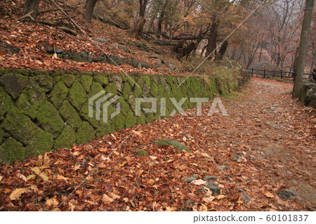 National Park, North Hansan, Jeongneung Valley National Park, North Hansan, Jeongneung Valley 60101837
