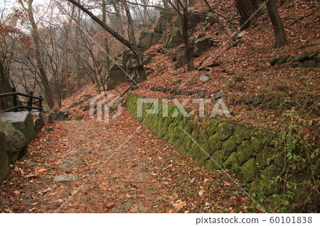 National Park, North Hansan, Jeongneung Valley National Park, North Hansan, Jeongneung Valley 60101838