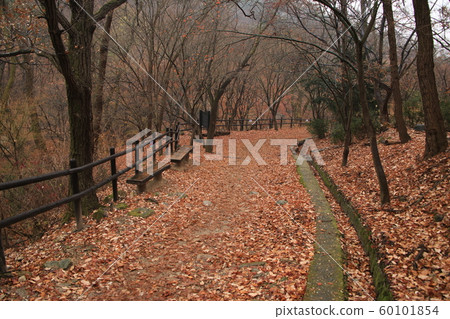 National Park, North Hansan, Jeongneung Valley National Park, North Hansan, Jeongneung Valley 60101854