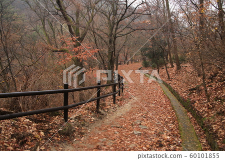 National Park, North Hansan, Jeongneung Valley National Park, North Hansan, Jeongneung Valley 60101855