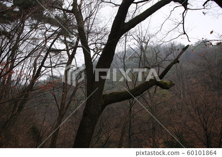 景陵谷漢山北部國家公園 60101864