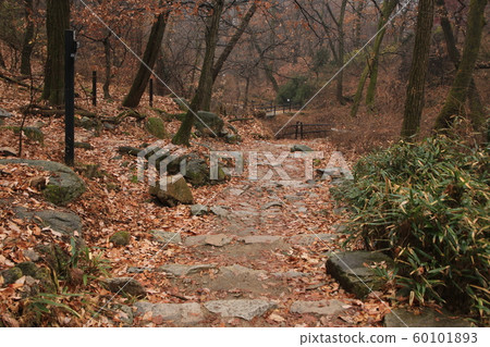 景陵谷漢山北部國家公園 60101893