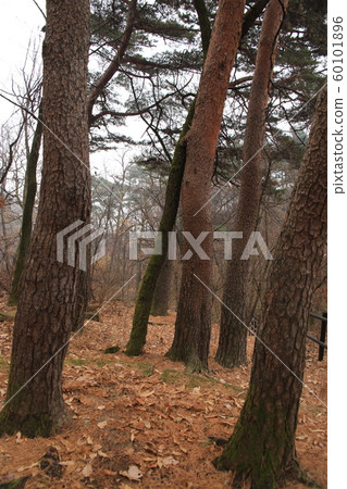 景陵谷漢山北部國家公園 景陵谷漢山北部國家公園 60101896