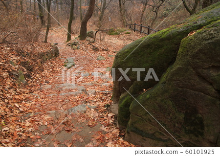 National Park, North Hansan, Jeongneung Valley National Park, North Hansan, Jeongneung Valley 60101925