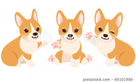 圖組的柯基犬圖片的小狗舉起手 60101980
