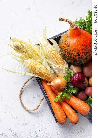 Various autumn vegetables. Harvest concept Various autumn vegetables. Harvest concept 60102240