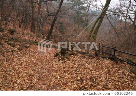 景陵谷漢山北部國家公園 60102246