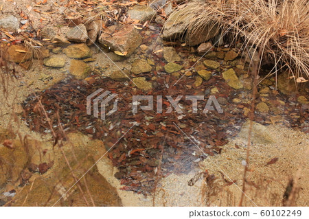 景陵谷漢山北部國家公園 景陵谷漢山北部國家公園 60102249