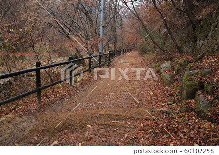 National Park, North Hansan, Jeongneung Valley National Park, North Hansan, Jeongneung Valley 60102258