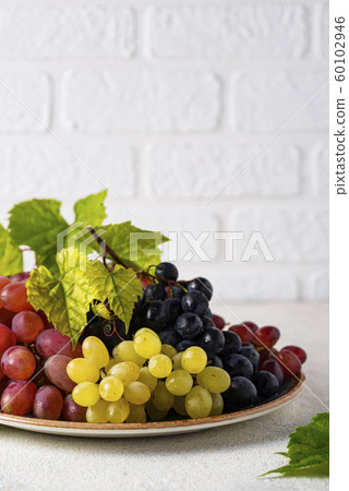 Assortment of different sort of grapes 60102946