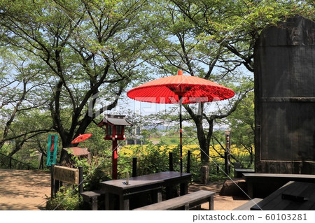 Scenery of Gongen-do, Satte City, Saitama Prefecture 60103281