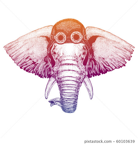 African or indian Elephant wearing vintage aviator leather helmet. Image in retro style. Flying club or motorcycle biker emblem. Vector illustration, print for tee shirt, badge logo patch 60103639
