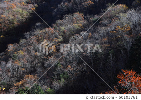 Autumn in the Namego Valley 60103761