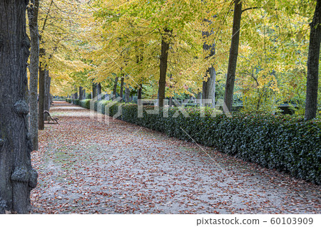 autumn road. Aranjuez. Madrid's community. Spain 60103909