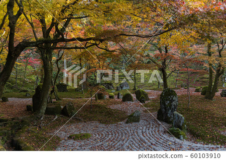 Autumn leaves of Kyushu 60103910