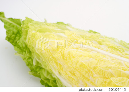 大白菜1/4切 60104443