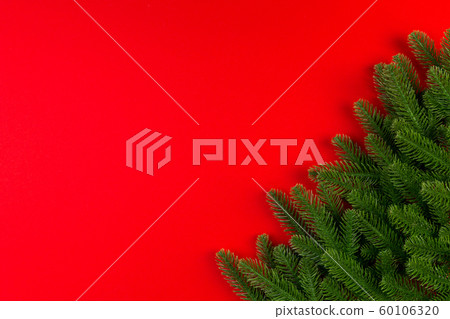 Top view of green fir tree branches on colorful 60106320