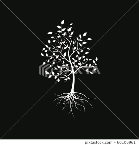 Silhouette of a lonely tree  60106961