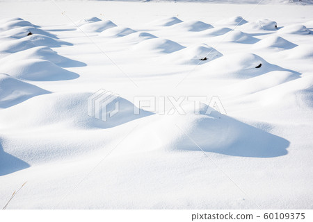 Snow dunes on crops in Biei, Hokkaido, Japan Snow dunes on crops in Biei, Hokkaido, Japan 60109375