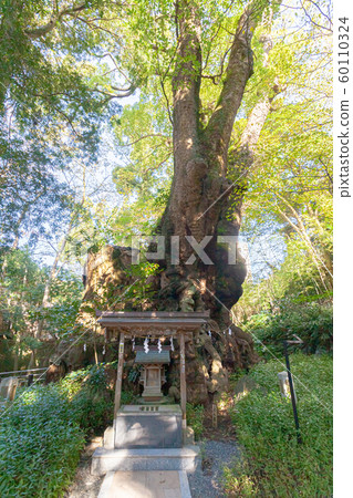 熱海神宮神社大磯 熱海神宮神社大磯 60110324